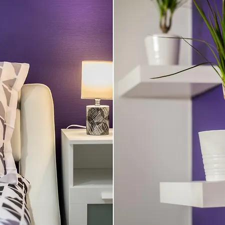 Sweethome - Zola * 디종