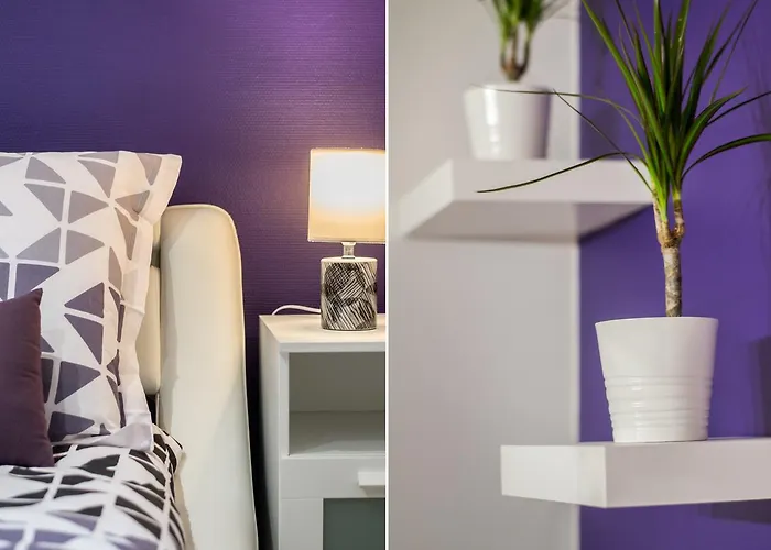 Sweethome - Zola * Dijon